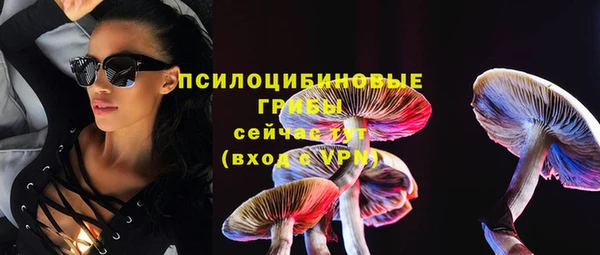 apvp Белокуриха