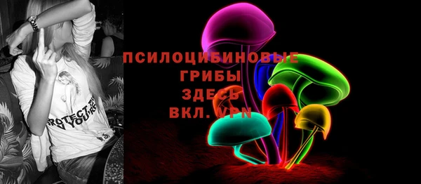 apvp Белокуриха