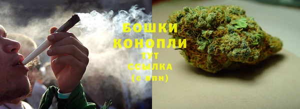 apvp Белокуриха
