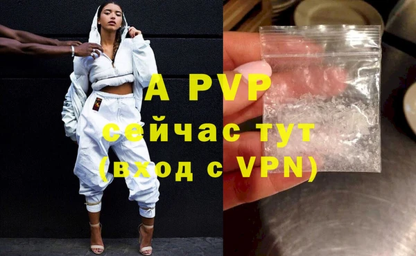 стафф Тавда
