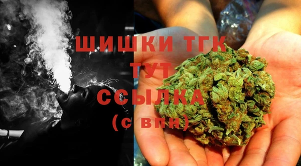 спайс Сясьстрой
