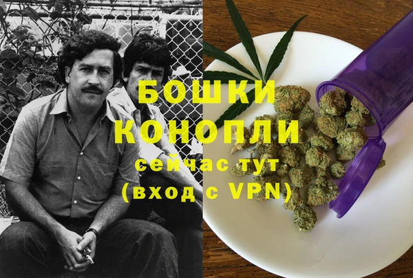 стафф Тавда