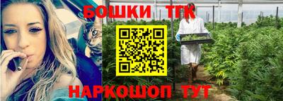дживик Бийск