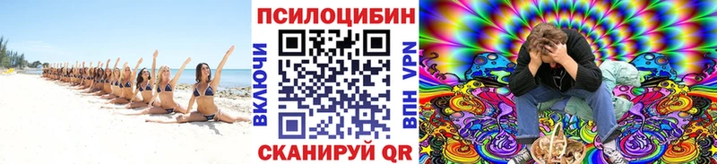 mega ссылка  как найти закладки  Горно-Алтайск  Галлюциногенные грибы Psilocybe 