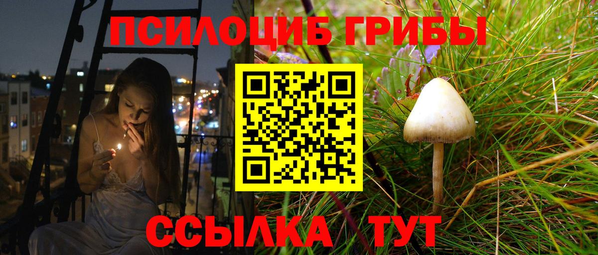цена   Галлюциногенные грибы MAGIC MUSHROOMS  Вход с VPN  Псилоцибиновые грибы мицелий  Горно-Алтайск 