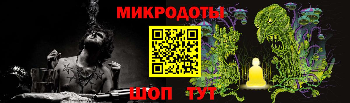 Галлюциногенные грибы мицелий Горно-Алтайск