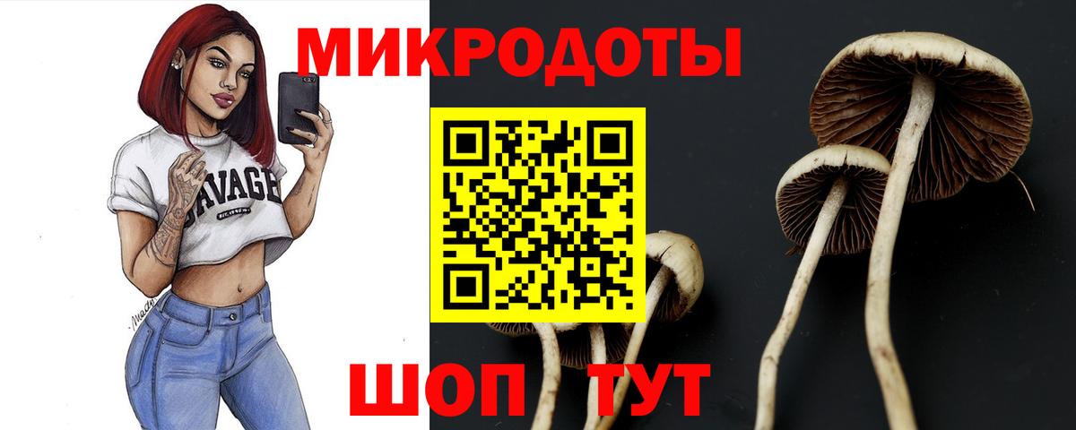 Псилоцибиновые грибы GOLDEN TEACHER Горно-Алтайск